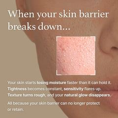 I'm from Rice Cream 1.76 Ounce, Rice Bran Essence with Ceramide, Glowing Look, Improves Moisture Skin Barrier